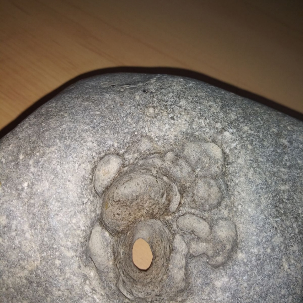 Native American Artifact/Tool - image 7